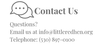 contact us